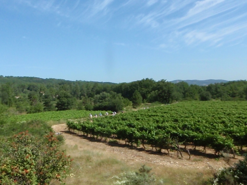 Village Camps International Summer Camp Ardèche, France 2019-07-26 https://www.villagecamps.com/journals_admin/images/70-8-Riding past the vineyards of Ardeche.jpg Village Camps International Summer Camp Ardèche, France 2019-07-26 https://www.villagecamps.com/journals_admin/images/70-8-Riding past the vineyards of Ardeche.jpg